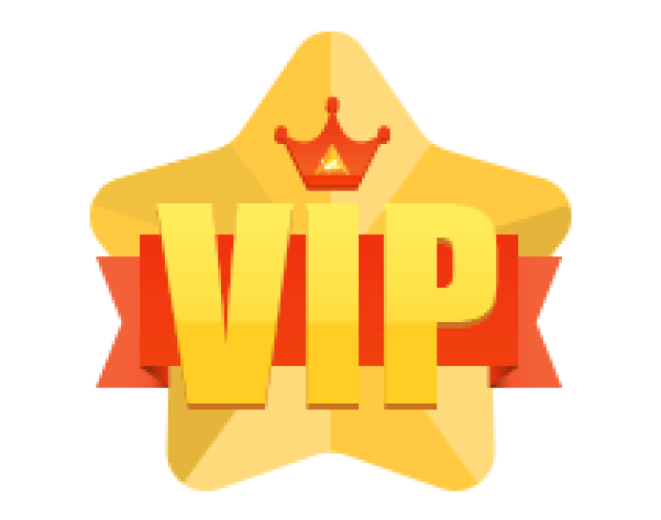 Program VIP